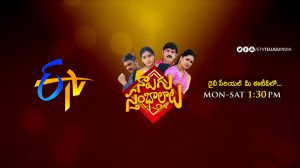 ETV Telugu 2019 programs scheule