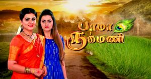 Bhama Rukmani Sun TV Serial Online