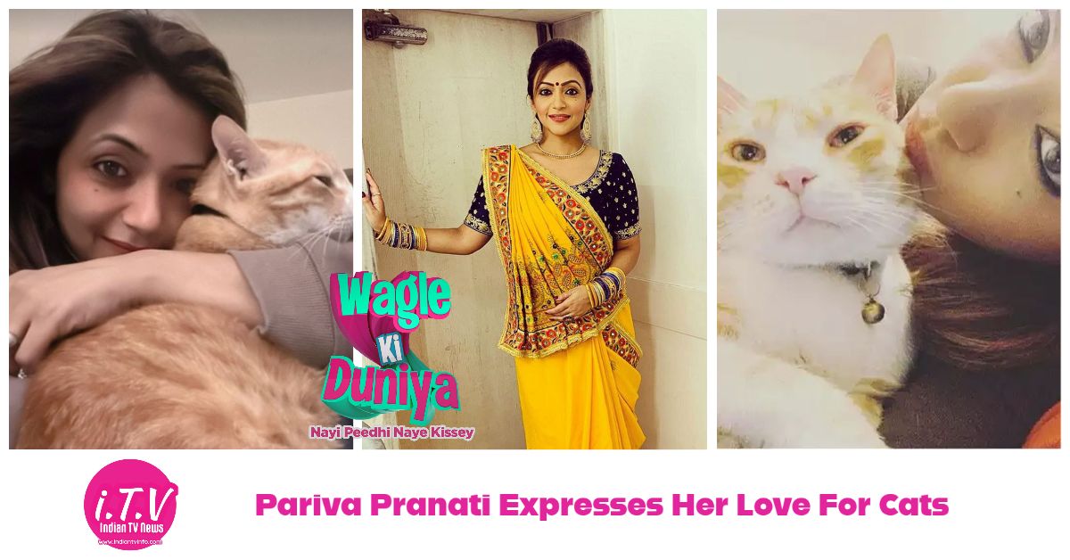 Pariva Pranati as Vandana Wagle in Sony SAB's Wagle Ki Duniya