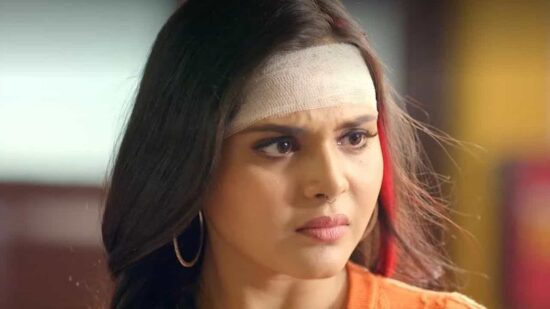 Pushpa Impossible New Twist